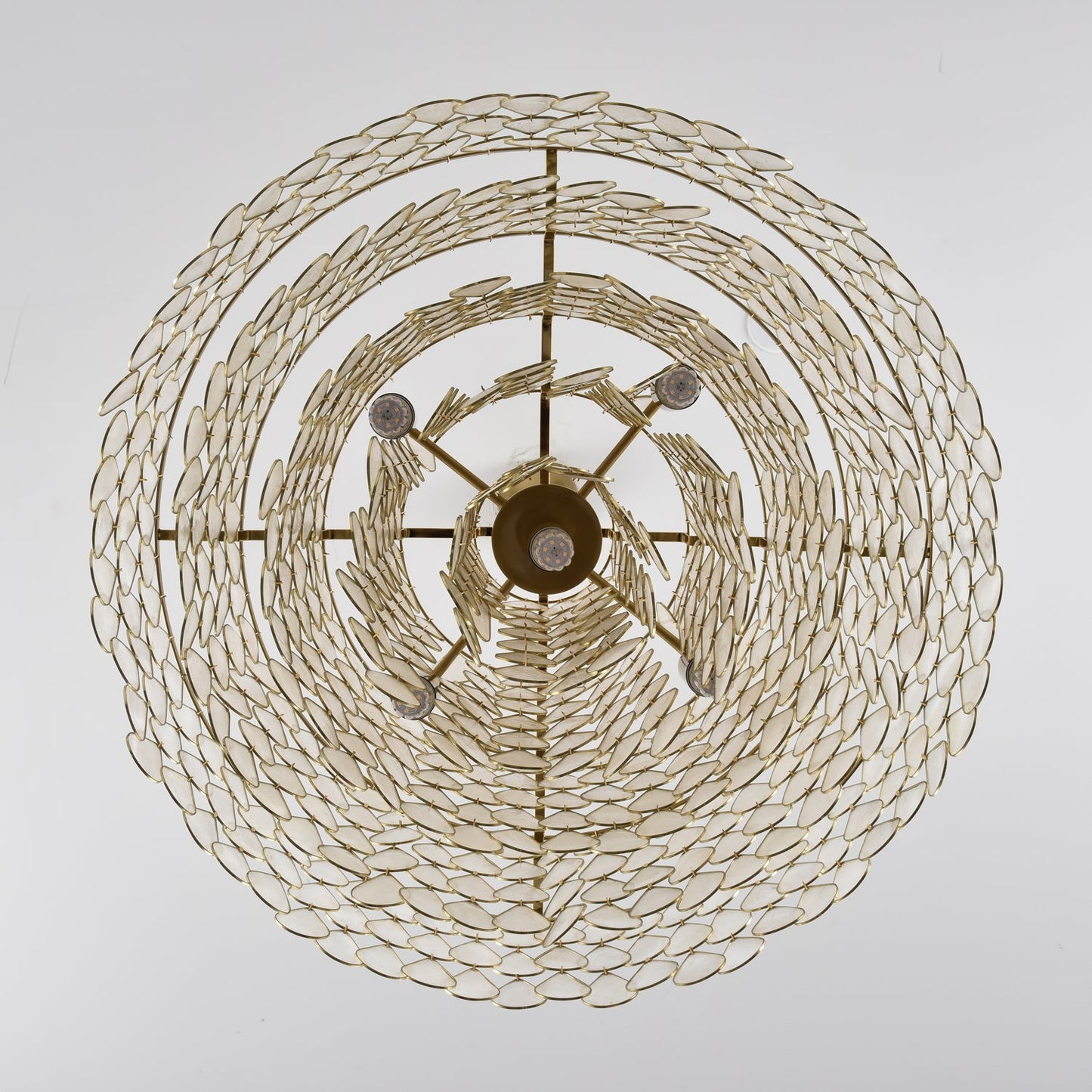 Elegant Teardrop Shell Chandelier - Dimmable, Adjustable Height