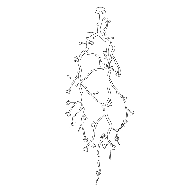 Elegant Large Long Branch Flower Chandelier with Adjustable Height & D
