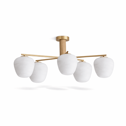 Auren Branch Ceiling Light - Adjustable Arms, Energy Efficient Design