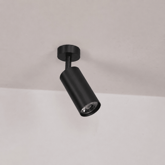 Adjustable Rotatable Spotlight Wall Light with Energy-Efficient LED