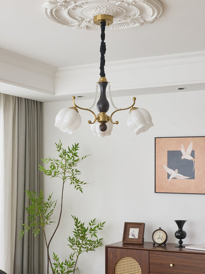 Antonia Chandelier - Elegant Lighting Fixture with Adjustable Arms & C