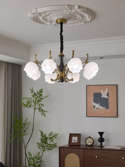 Antonia Chandelier - Elegant Lighting Fixture with Adjustable Arms & C