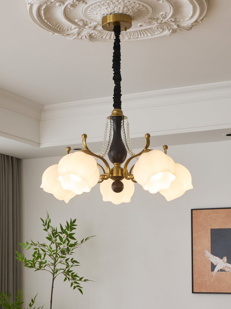 Antonia Chandelier - Elegant Lighting Fixture with Adjustable Arms & C