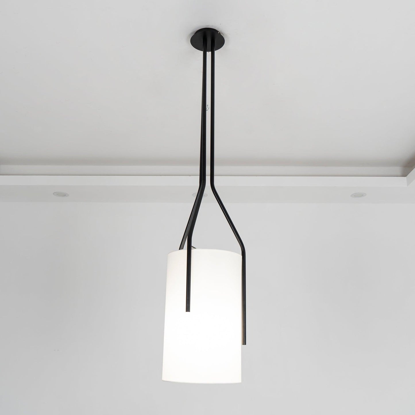 Arborescence Chandelier - Elegant Design with Adjustable Brightness