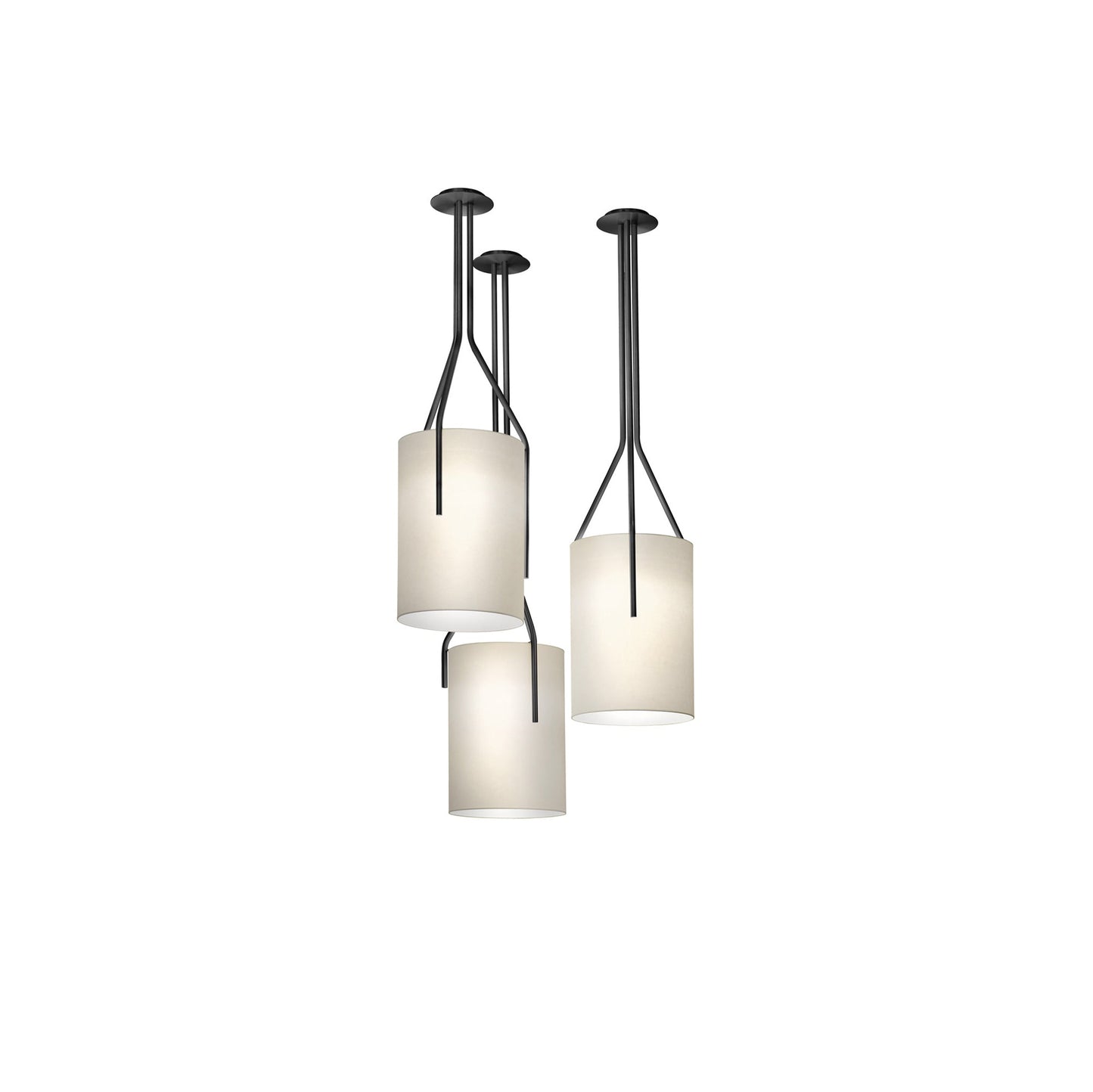 Arborescence Chandelier - Elegant Design with Adjustable Brightness