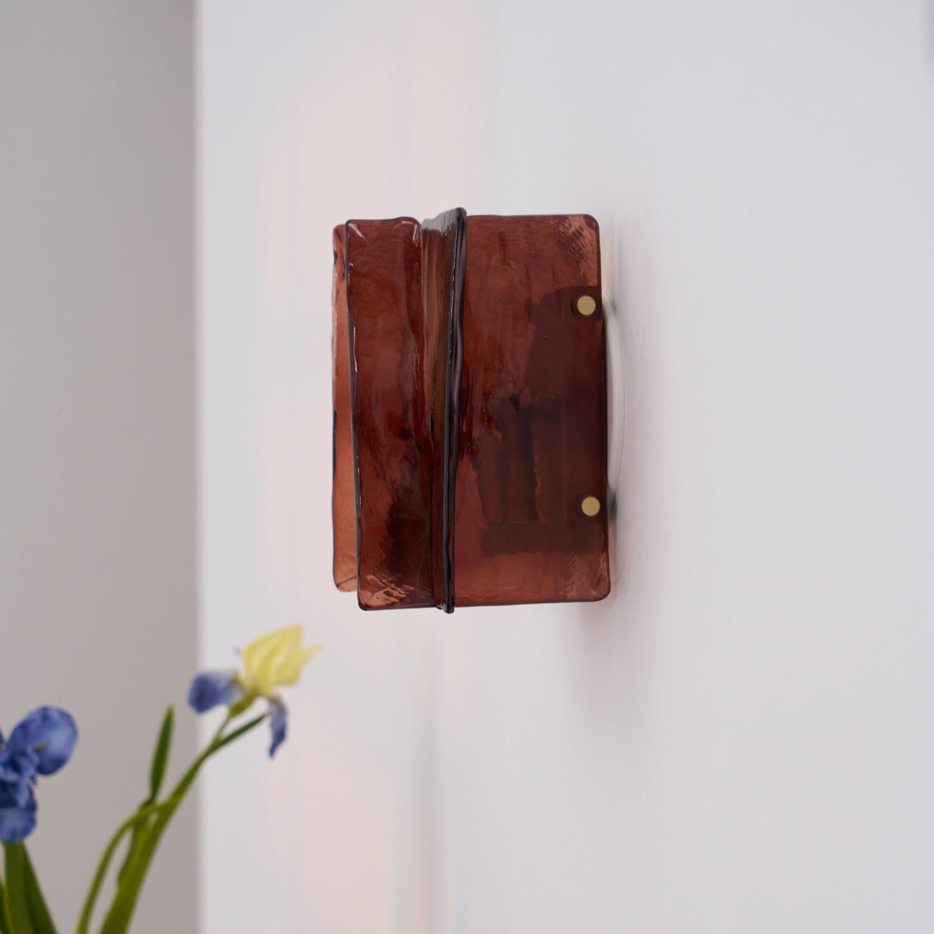 Blason Wall Light - Adjustable LED, Modern Design for Indoor Spaces