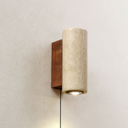 Professional Blend Plug-in Wall Sconce with Adjustable Brightness & Mo