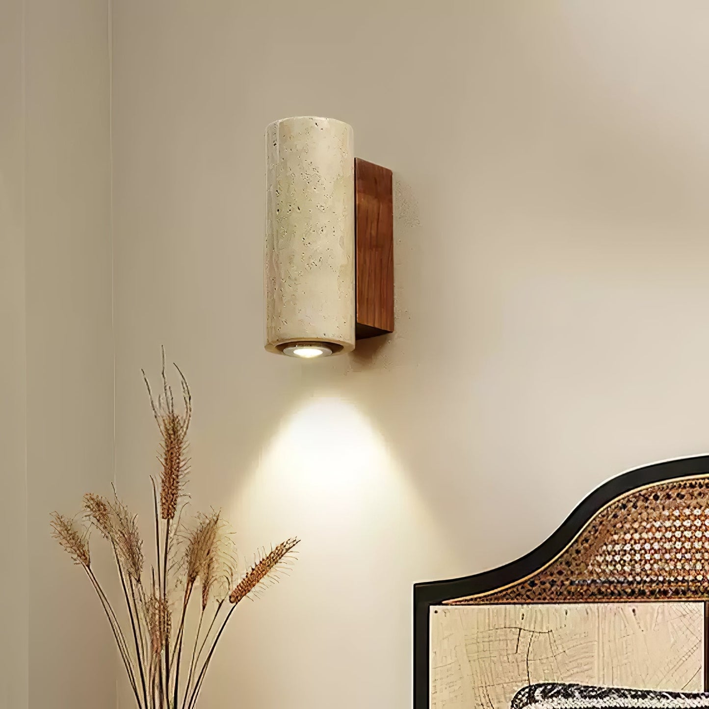 Professional Blend Plug-in Wall Sconce with Adjustable Brightness & Mo