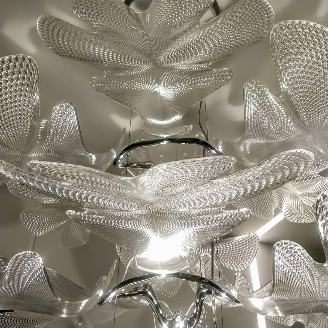 Chlorophilia Suspension Light - Adjustable Height, Energy-Efficient De