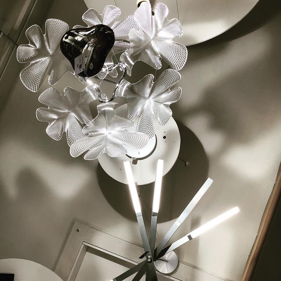 Chlorophilia Suspension Light - Adjustable Height, Energy-Efficient De