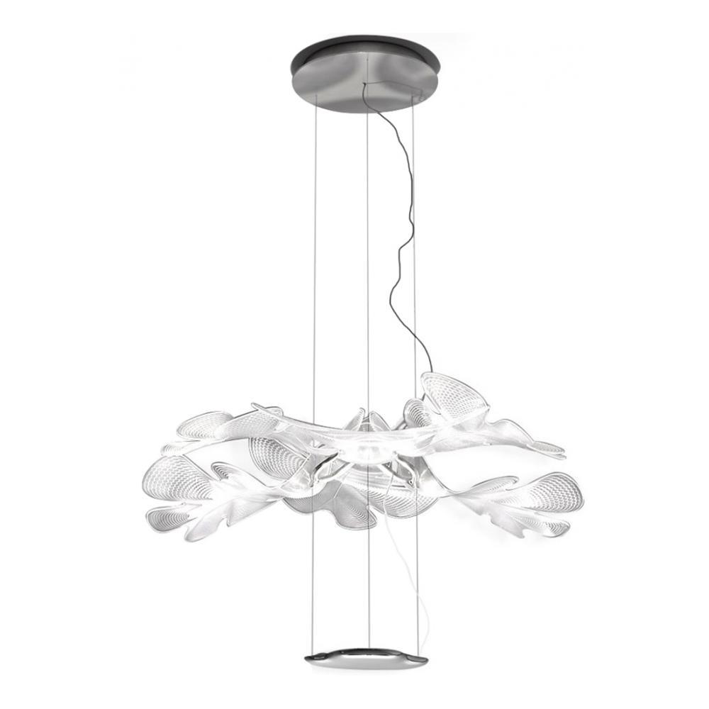 Chlorophilia Suspension Light - Adjustable Height, Energy-Efficient De