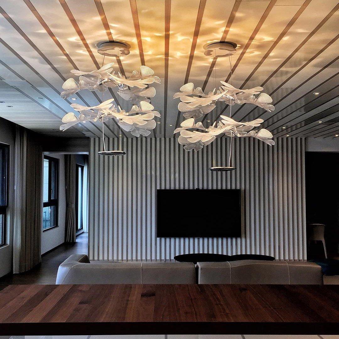 Chlorophilia Suspension Light - Adjustable Height, Energy-Efficient De