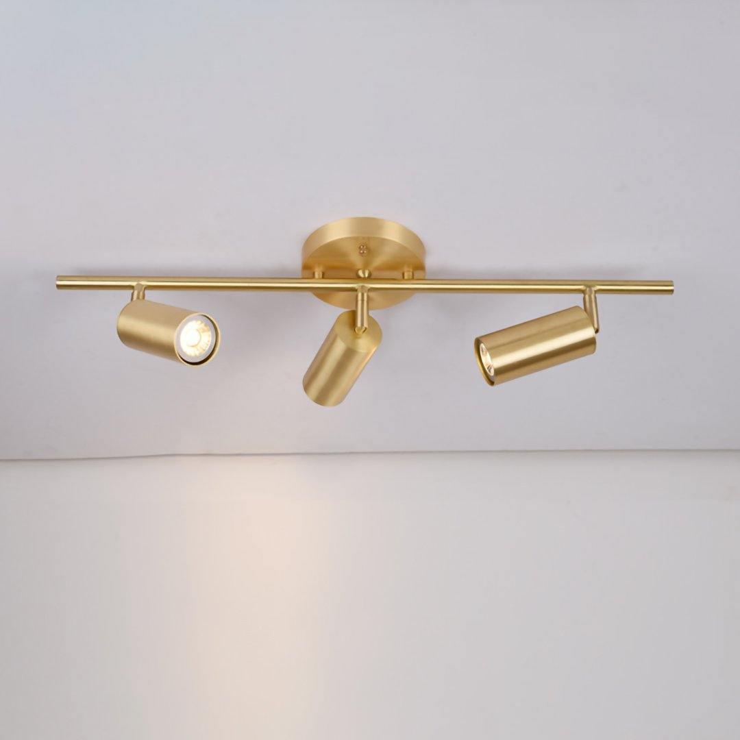 Adjustable Rotatable Spotlight Wall Light with Energy-Efficient LED