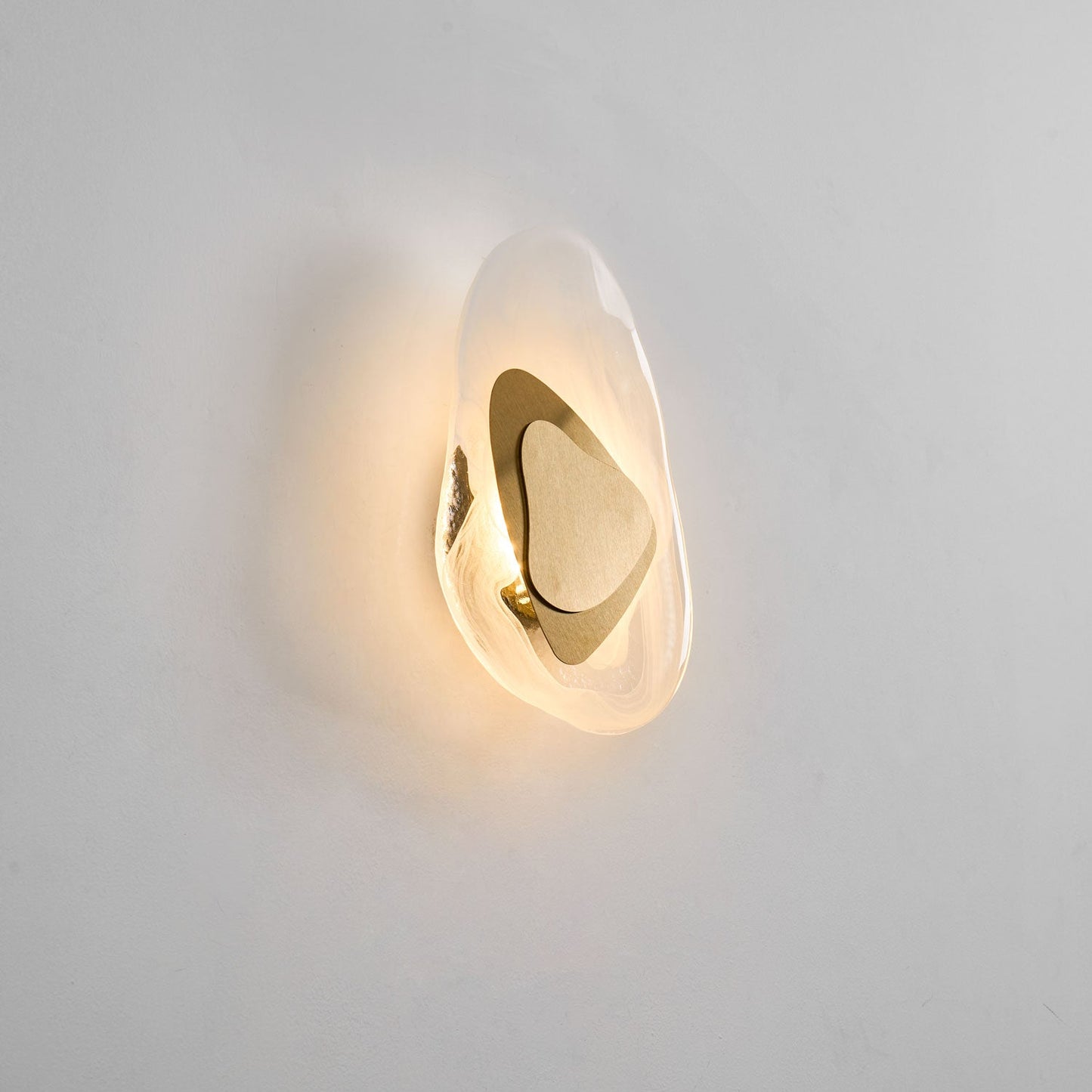 DC1725 Professional Wall Lamp with Adjustable Brightness & Modern Desi
