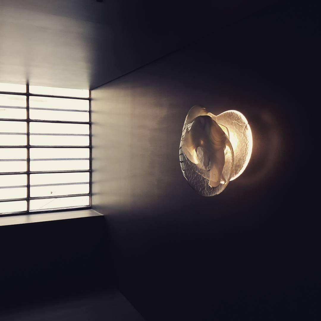 DC1725 Professional Wall Lamp with Adjustable Brightness & Modern Desi