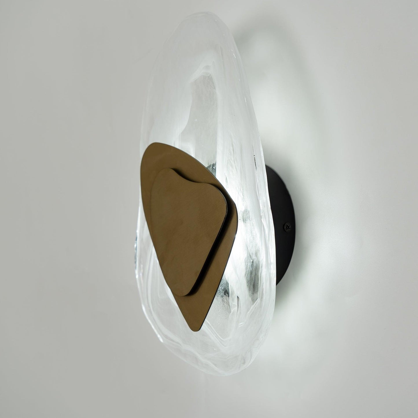 DC1725 Professional Wall Lamp with Adjustable Brightness & Modern Desi