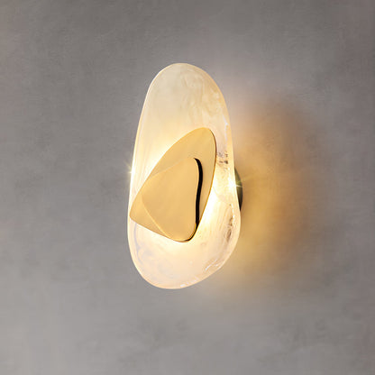 DC1725 Professional Wall Lamp with Adjustable Brightness & Modern Desi