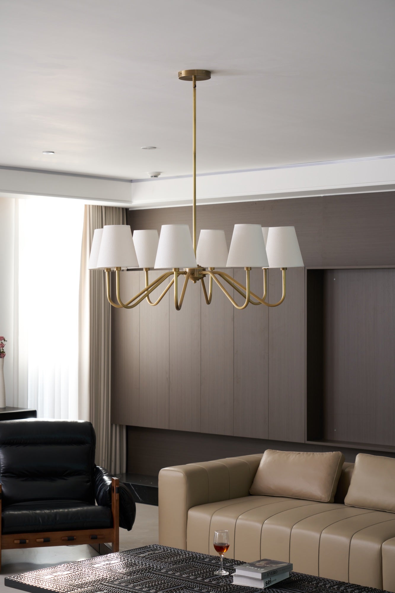 Opaluxe Brass Chandelier - Elegant Design with Adjustable Height & LED