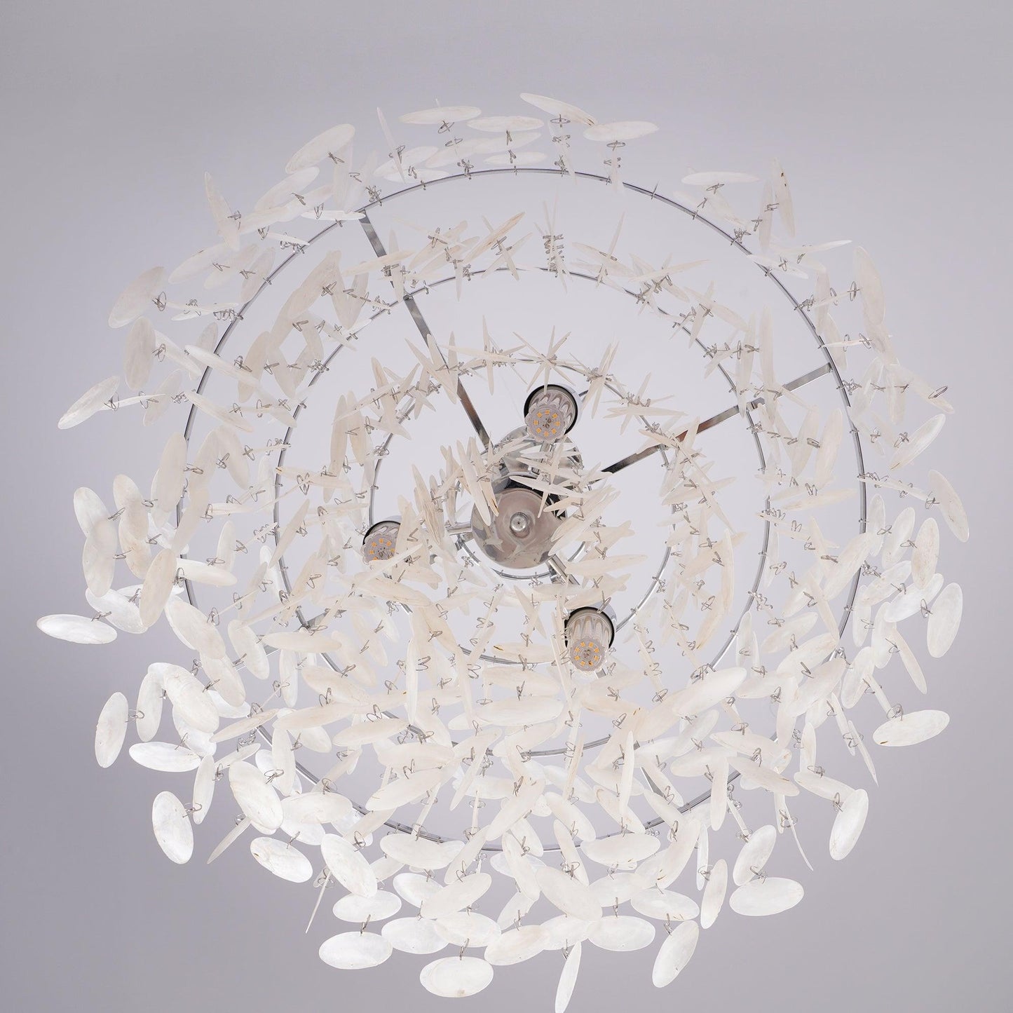 Elegant Round Shell Chandelier with Adjustable Height & Soft Lighting