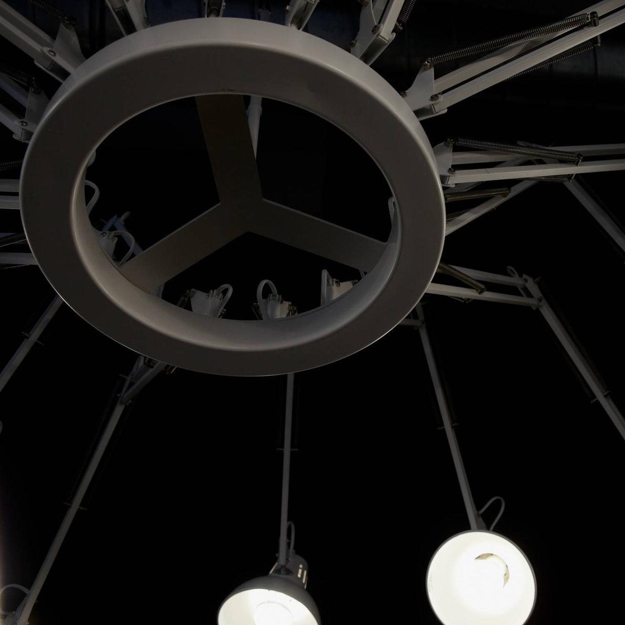 Dear Ingo Chandelier - Modern Design, Adjustable Height, LED Compatibl