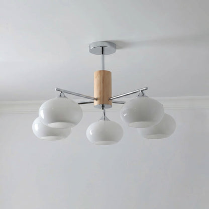 Professional Elliptical Persimmon Chandelier with Adjustable Brightnes