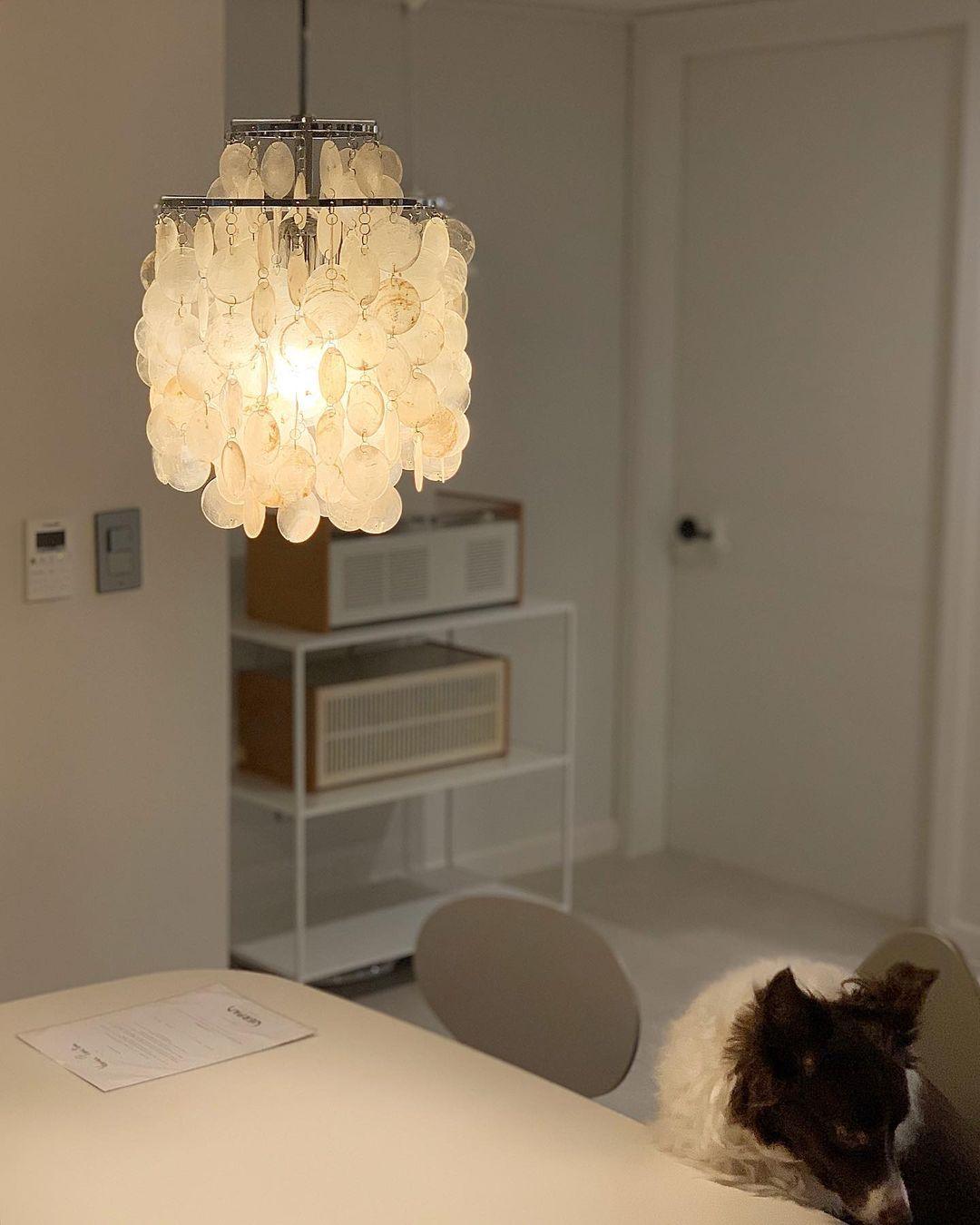 Elegant Round Shell Chandelier with Adjustable Height & Soft Lighting