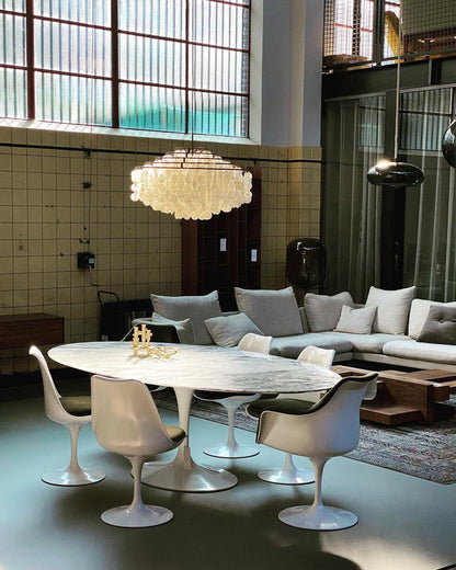 Elegant Round Shell Chandelier with Adjustable Height & Soft Lighting
