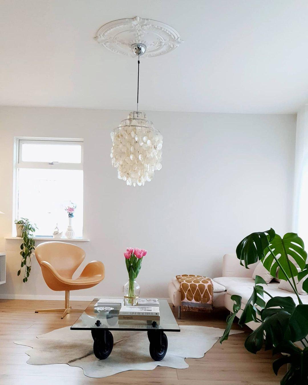 Elegant Round Shell Chandelier with Adjustable Height & Soft Lighting