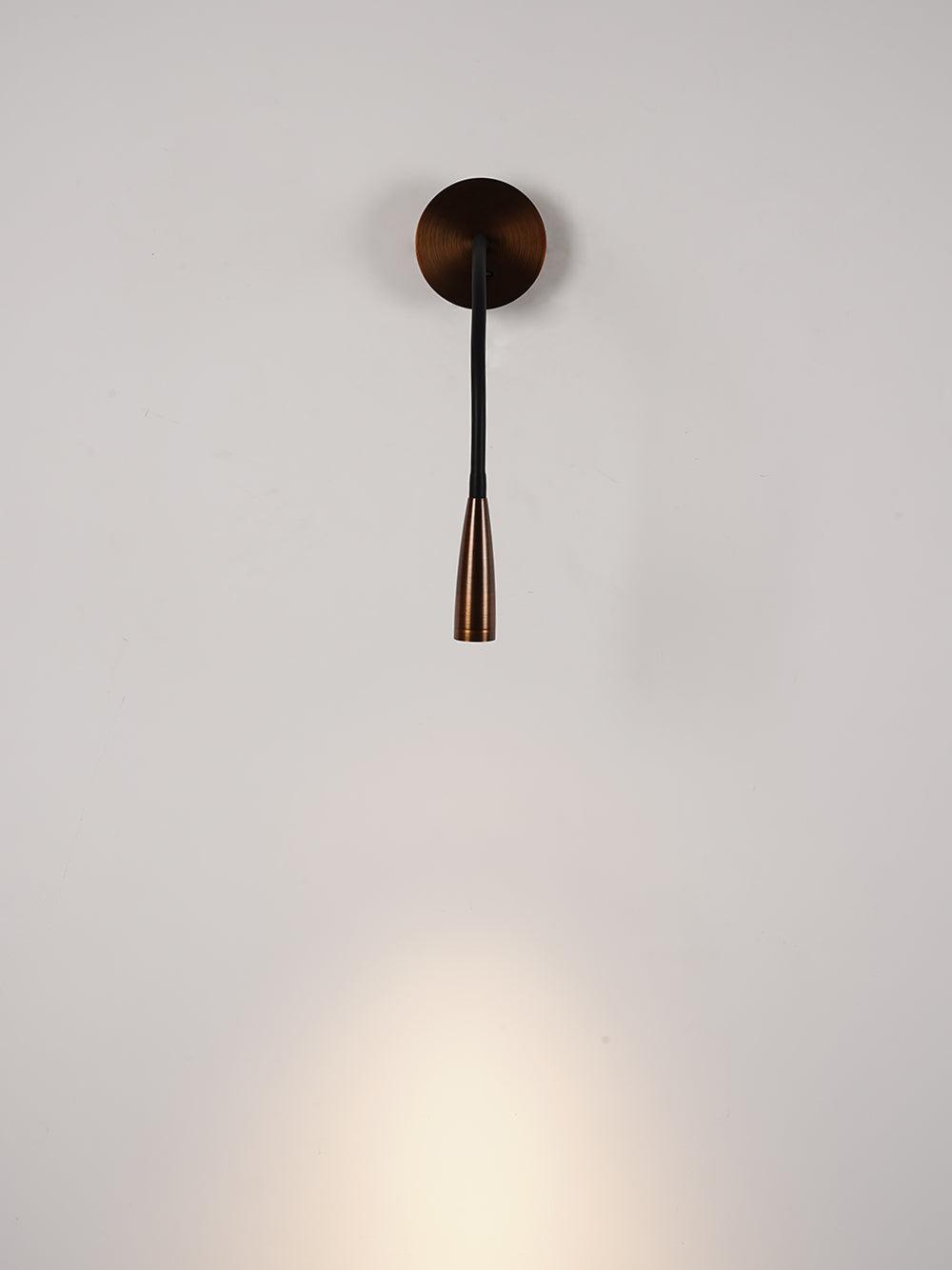 Adjustable Flexi Hose Wall Light with Energy-Efficient LED and Modern