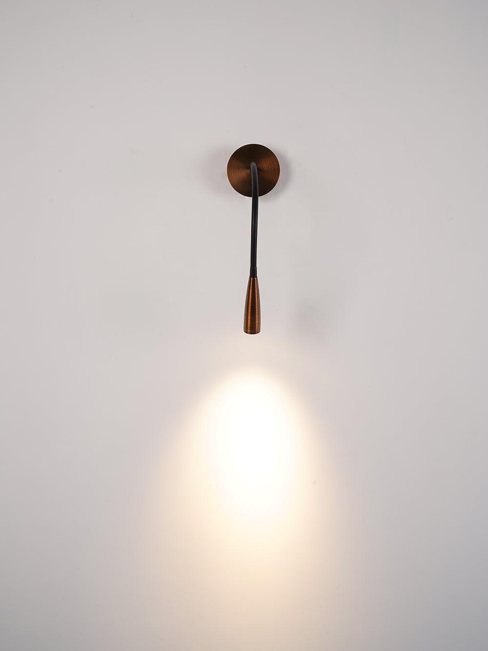 Adjustable Flexi Hose Wall Light with Energy-Efficient LED and Modern