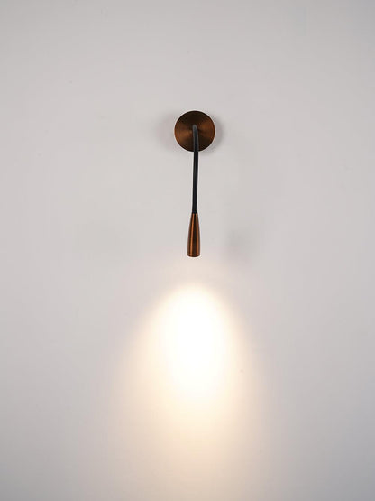 Adjustable Flexi Hose Wall Light with Energy-Efficient LED and Modern