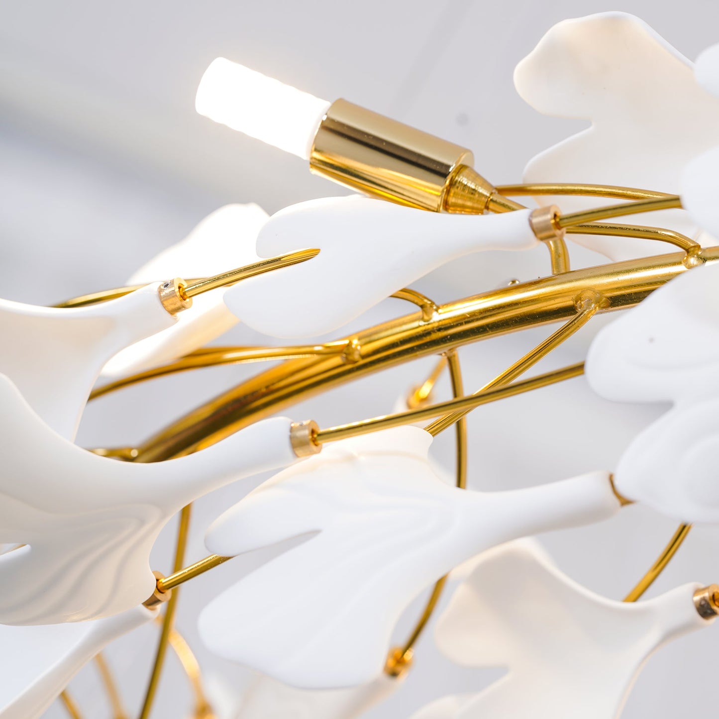 Gingko Halo Chandelier - Modern LED Lighting, Adjustable Height & Dimm
