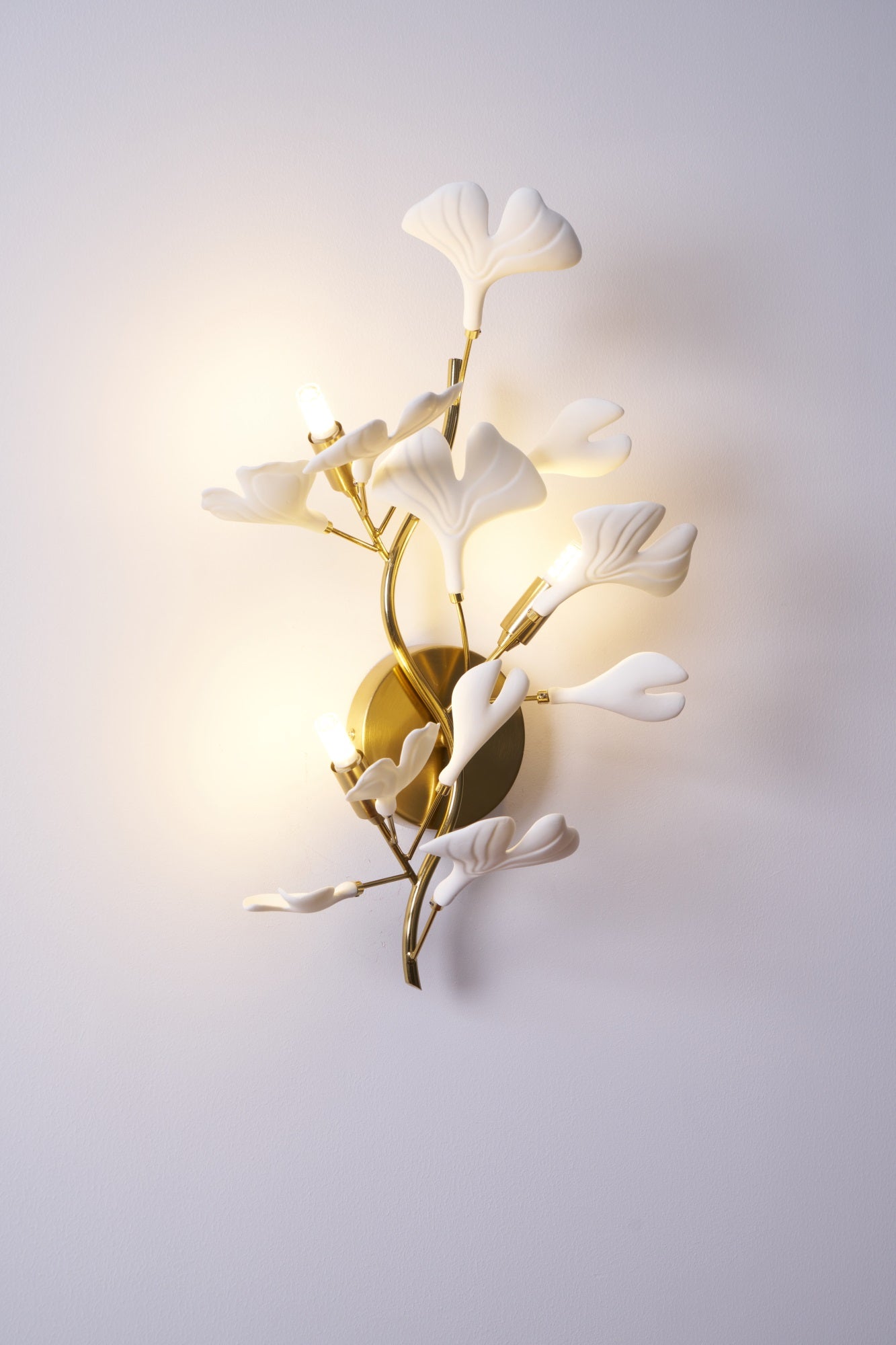 Gingko Modern Wall Lamp - LED Illumination & Adjustable Brightness