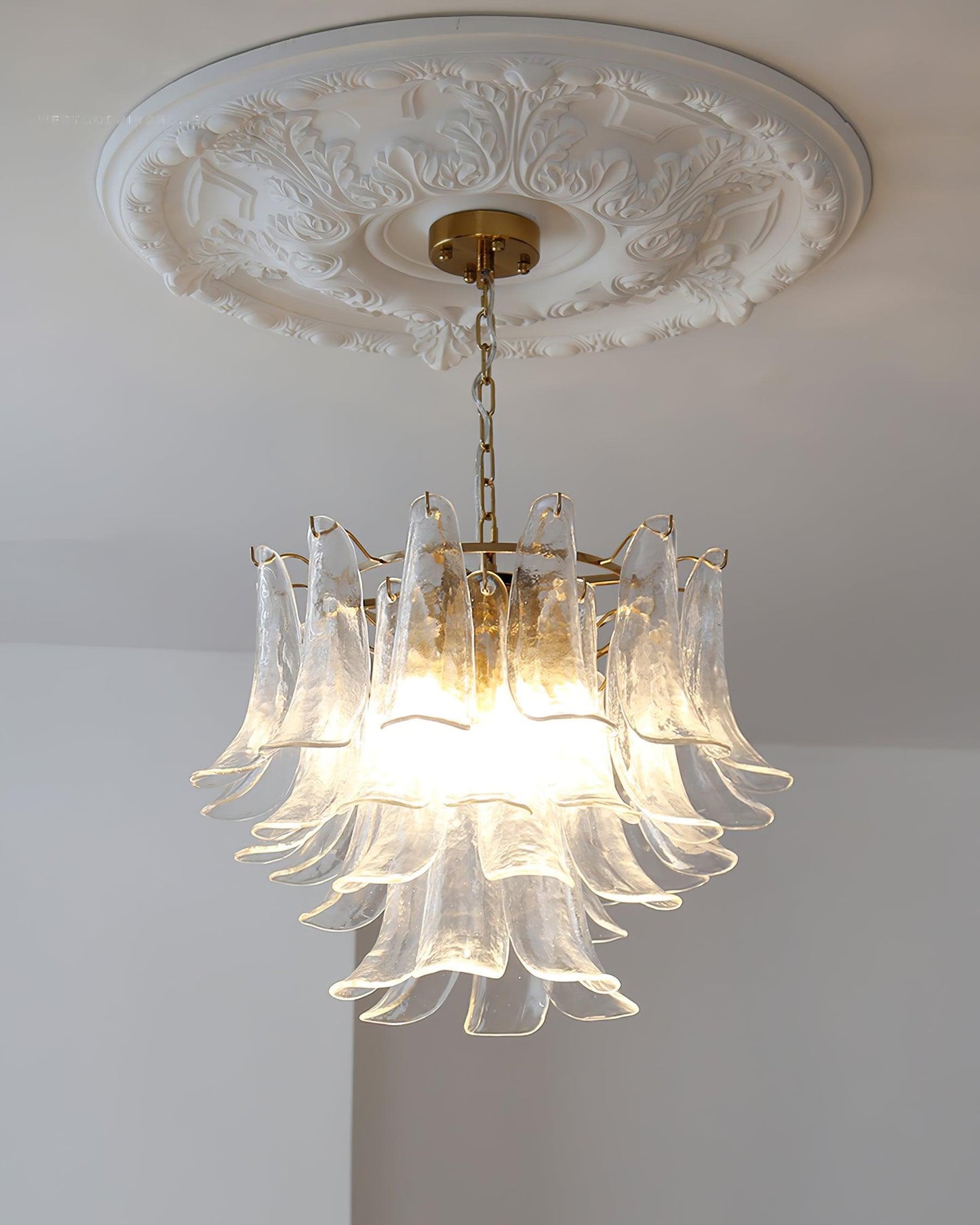 Elegant Glass Leaf Chandelier - Adjustable Height, Energy Efficient Li