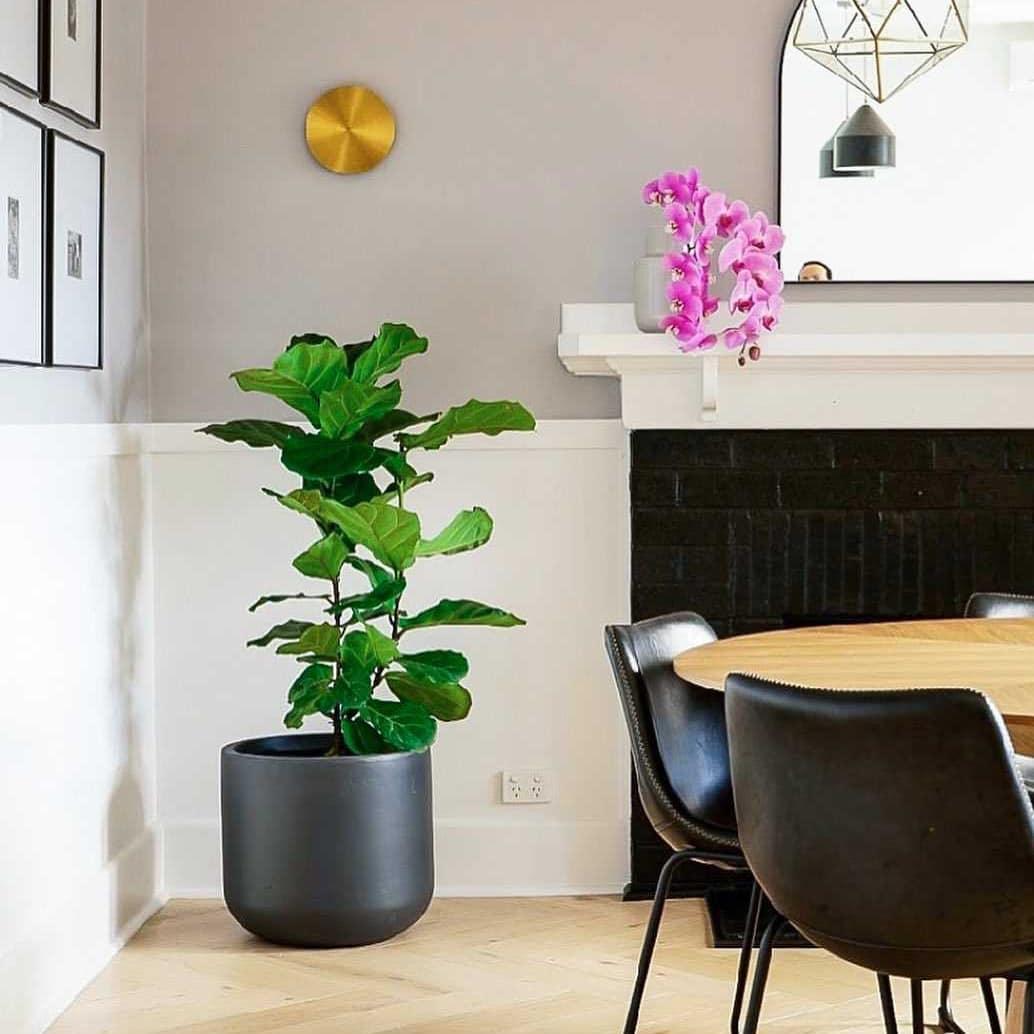 Gossa Professional Wall Lamp - Adjustable Brightness, Modern Design