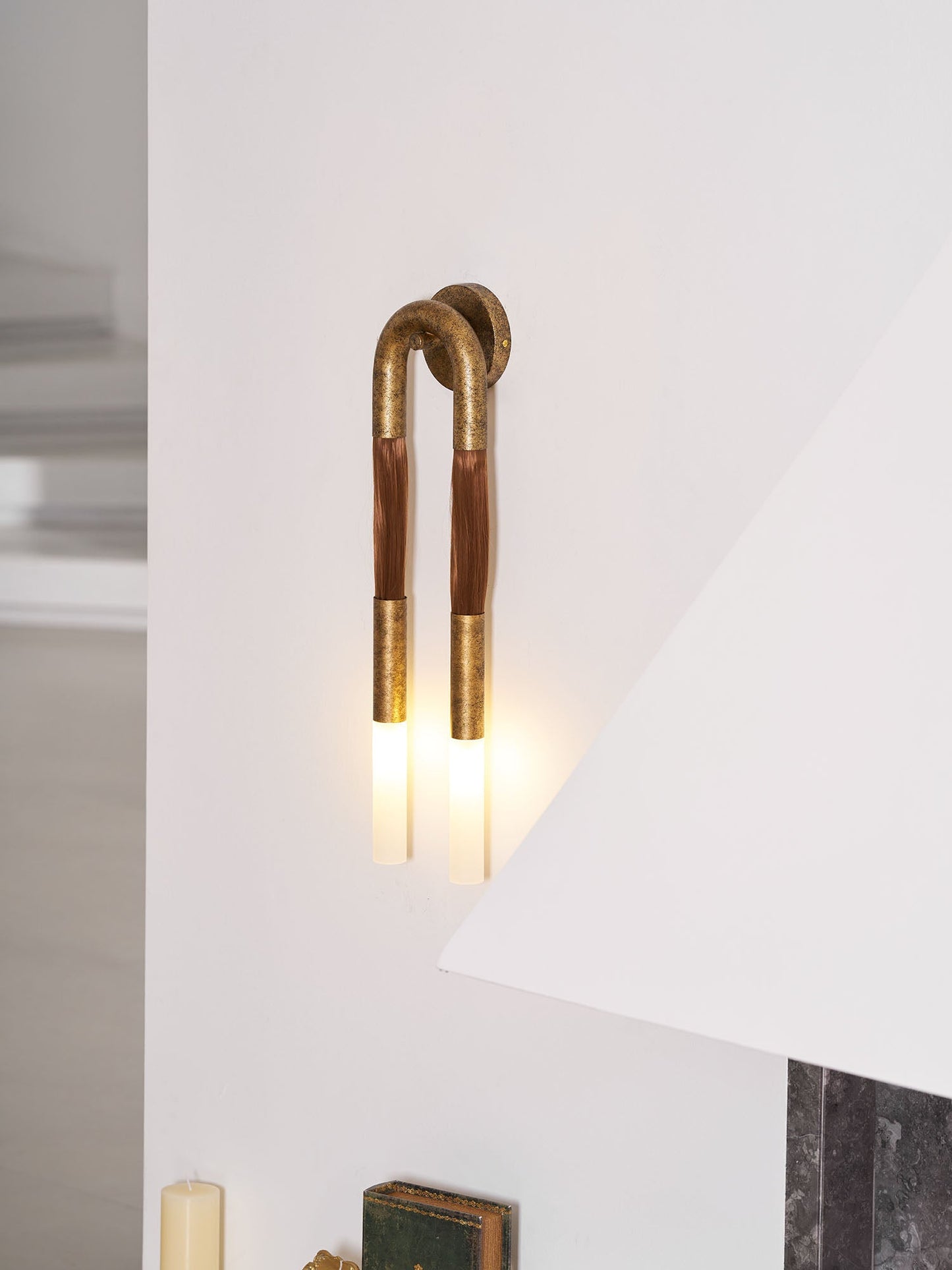 Elegant Horsehair Wall Lamp with Adjustable Light and Unique Design