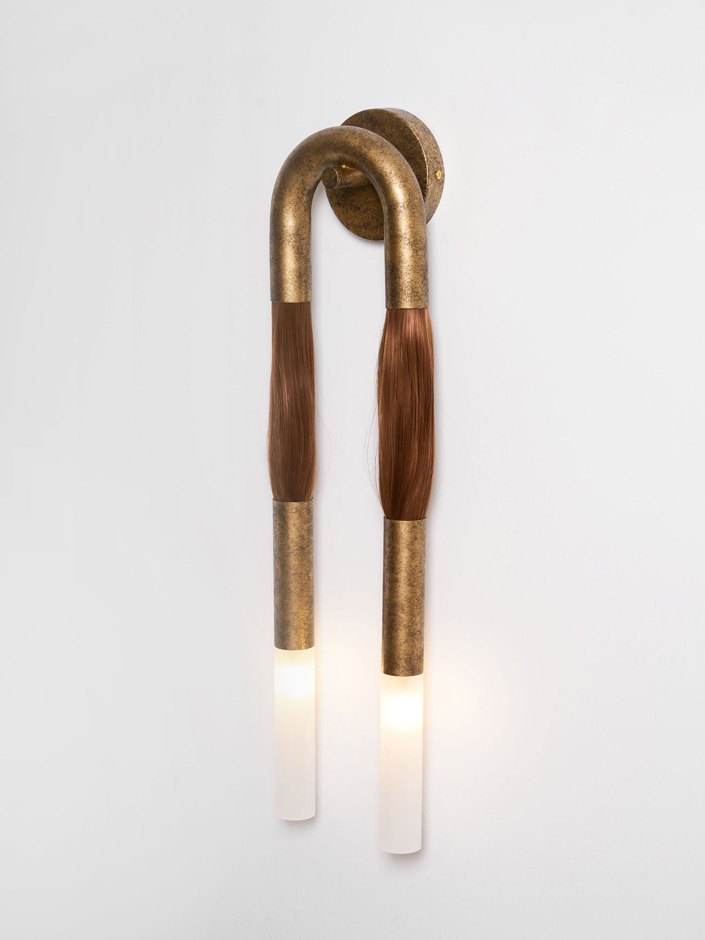 Elegant Horsehair Wall Lamp with Adjustable Light and Unique Design
