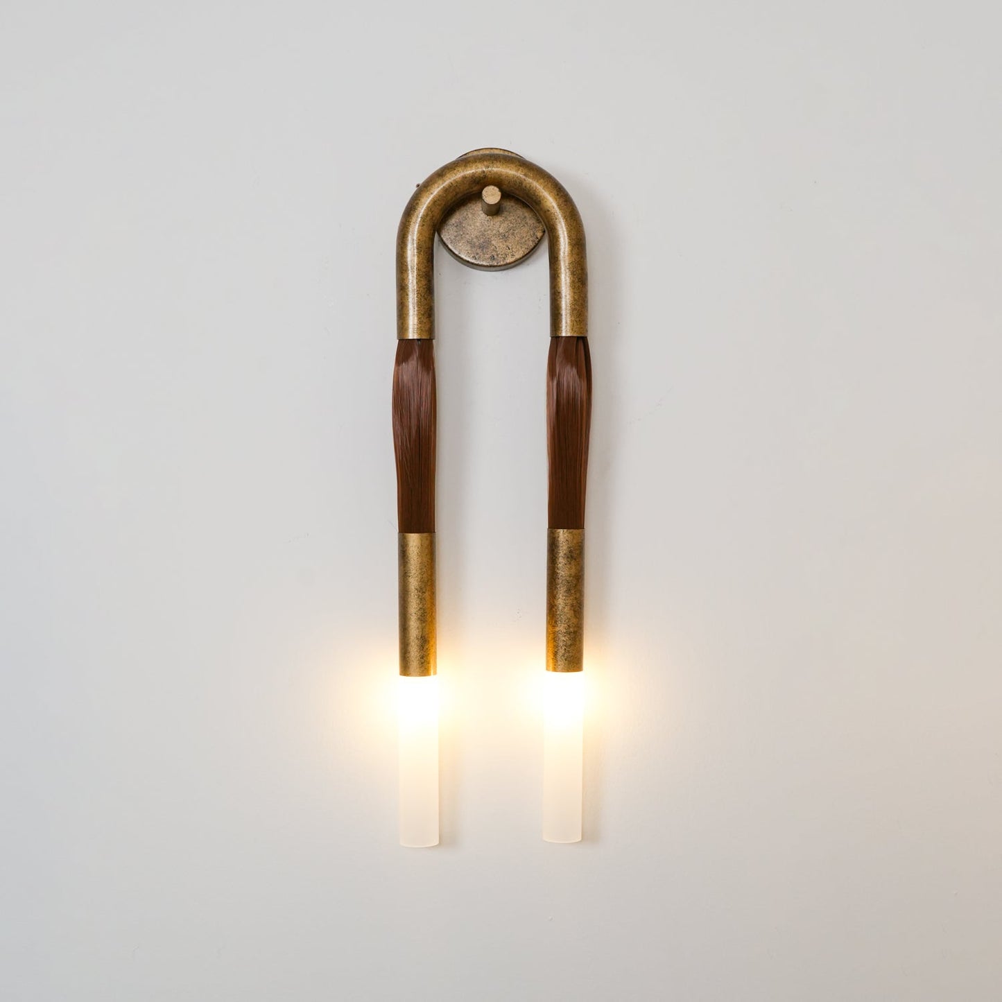 Elegant Horsehair Wall Lamp with Adjustable Light and Unique Design