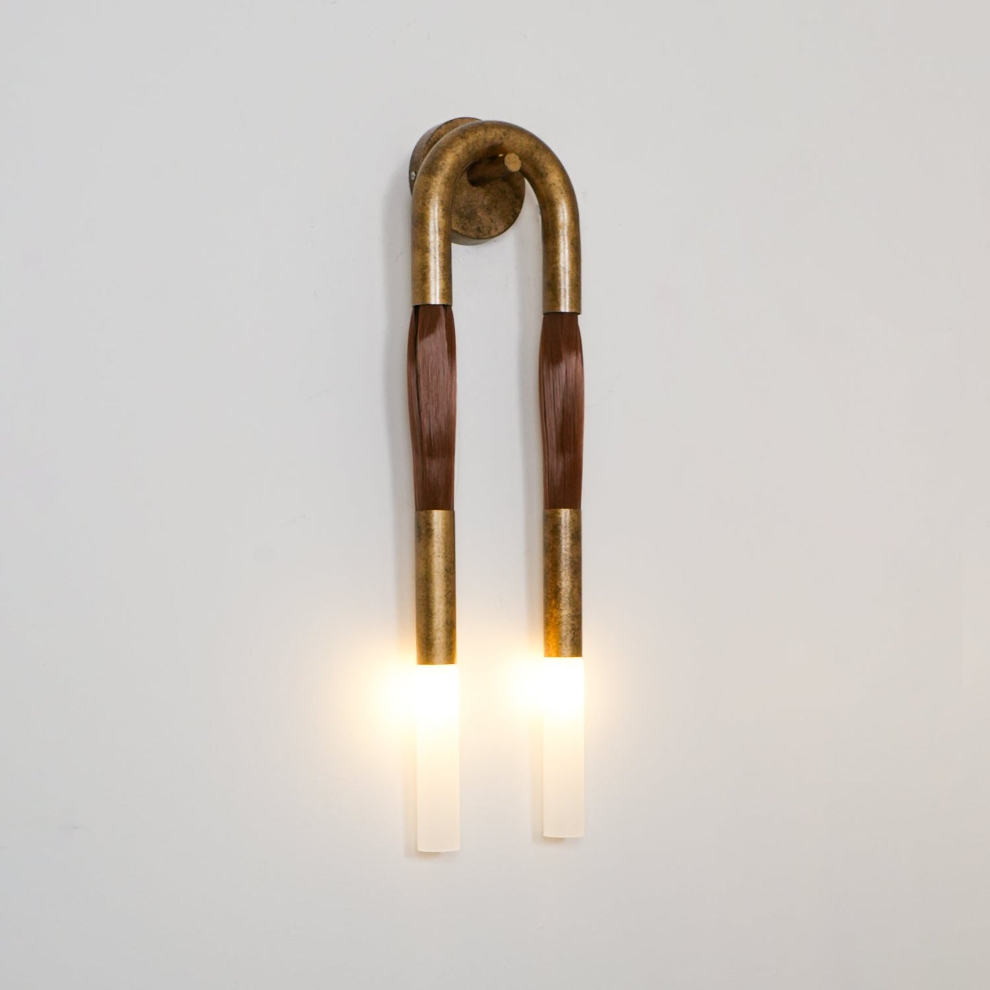 Elegant Horsehair Wall Lamp with Adjustable Light and Unique Design