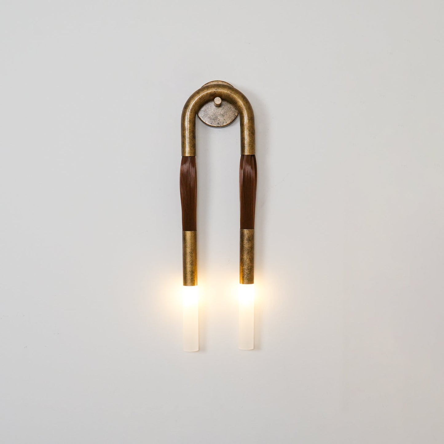 Elegant Horsehair Wall Lamp with Adjustable Light and Unique Design