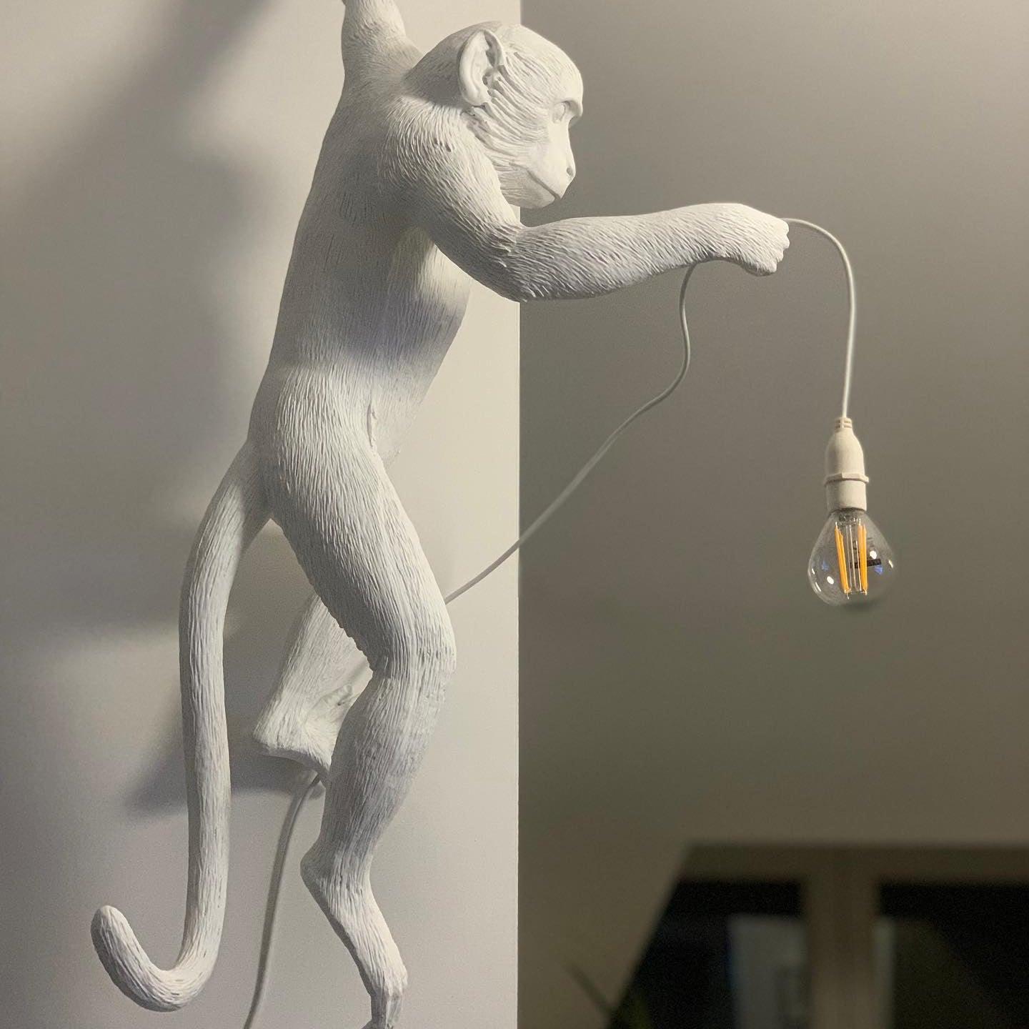 Monkey Wall Lamp - Adjustable Arm, Energy-Efficient LED Lighting