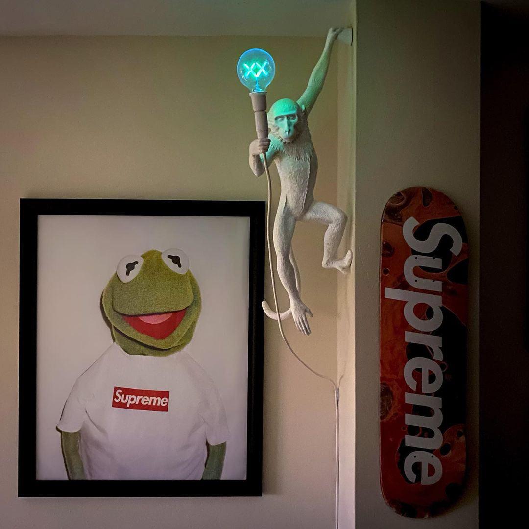 Monkey Wall Lamp - Adjustable Arm, Energy-Efficient LED Lighting