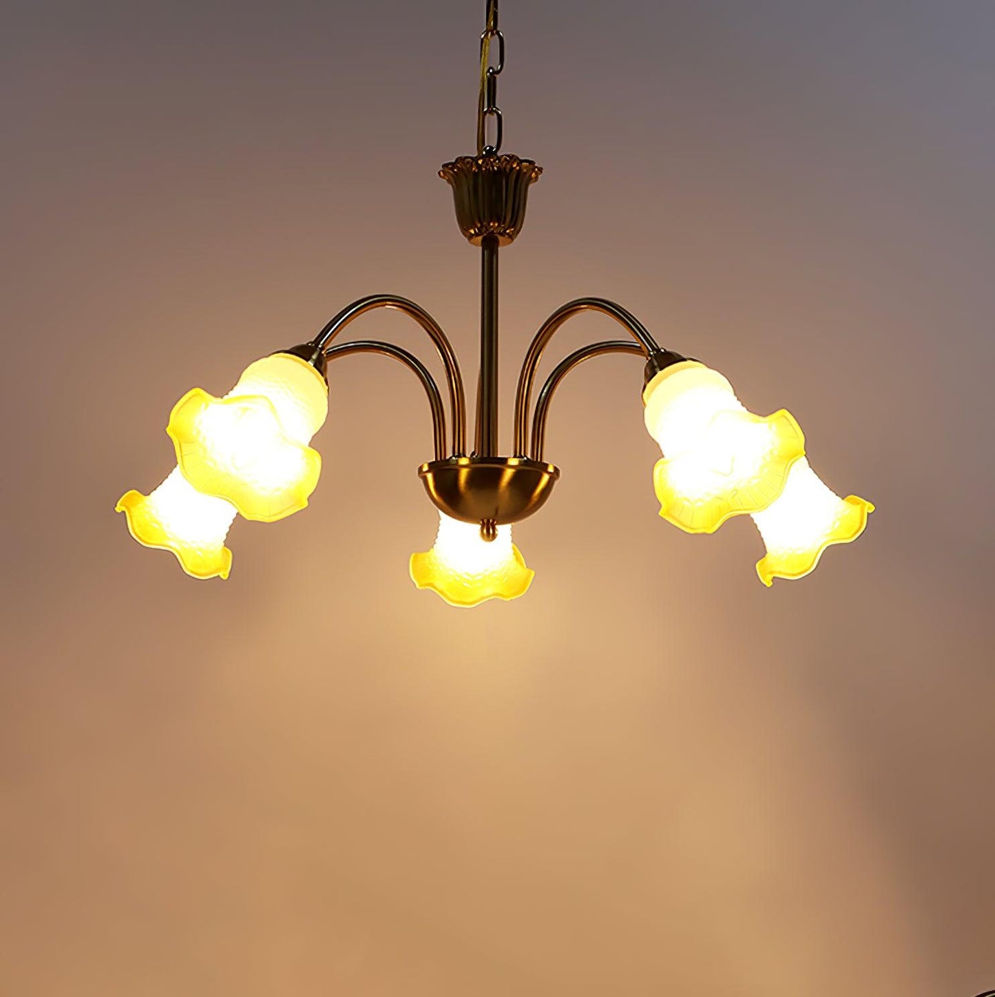 Elegant Morning Glory Chandelier - Adjustable Height, Crystal Accents