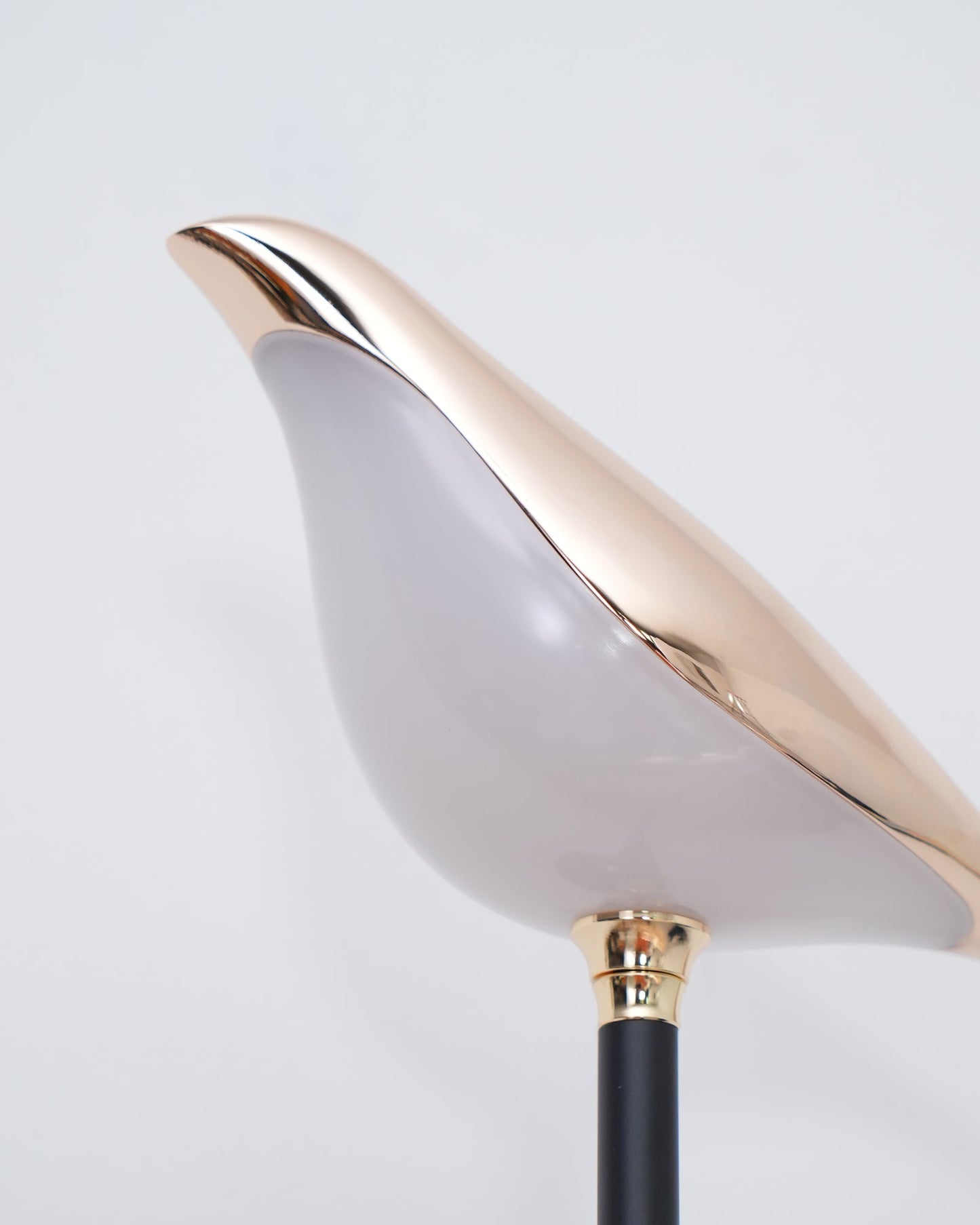 Nomi Plug-in Wall Lamp - Adjustable Brightness & Modern Design