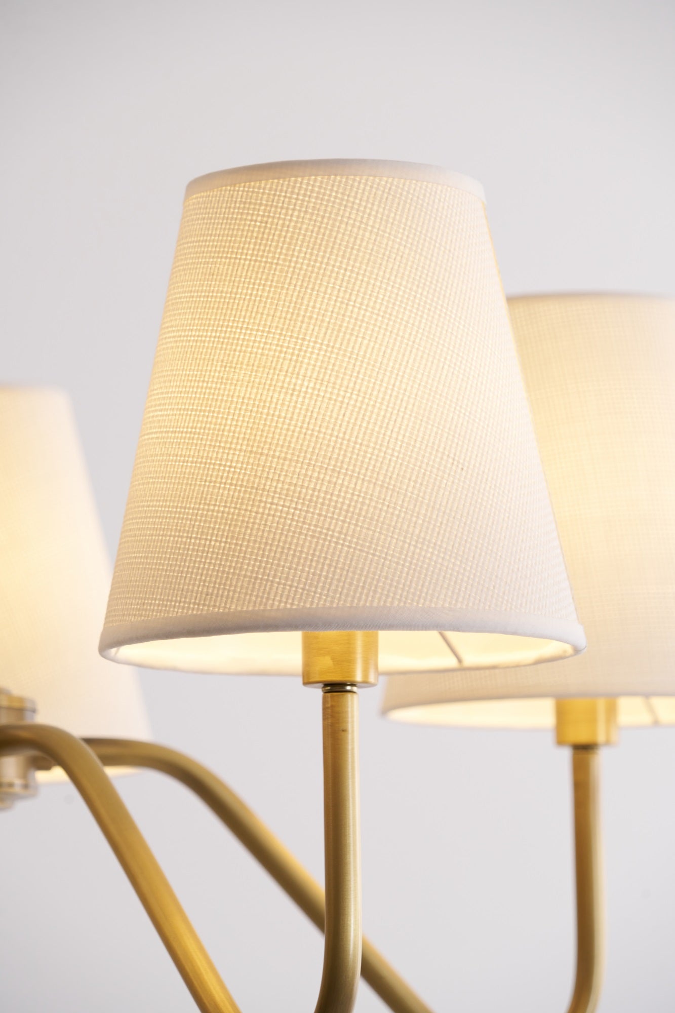 Opaluxe Brass Chandelier - Elegant Design with Adjustable Height & LED