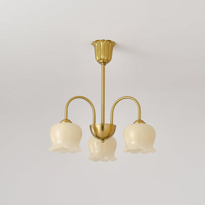 Elegant Brass Chandelier with Adjustable Arms and Crystal Accents
