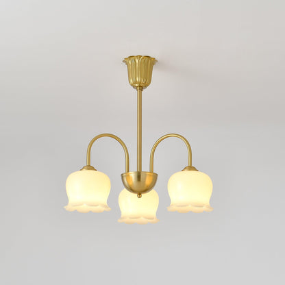 Elegant Brass Chandelier with Adjustable Arms and Crystal Accents