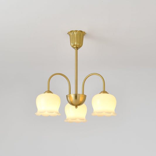 Elegant Brass Chandelier with Adjustable Arms and Crystal Accents