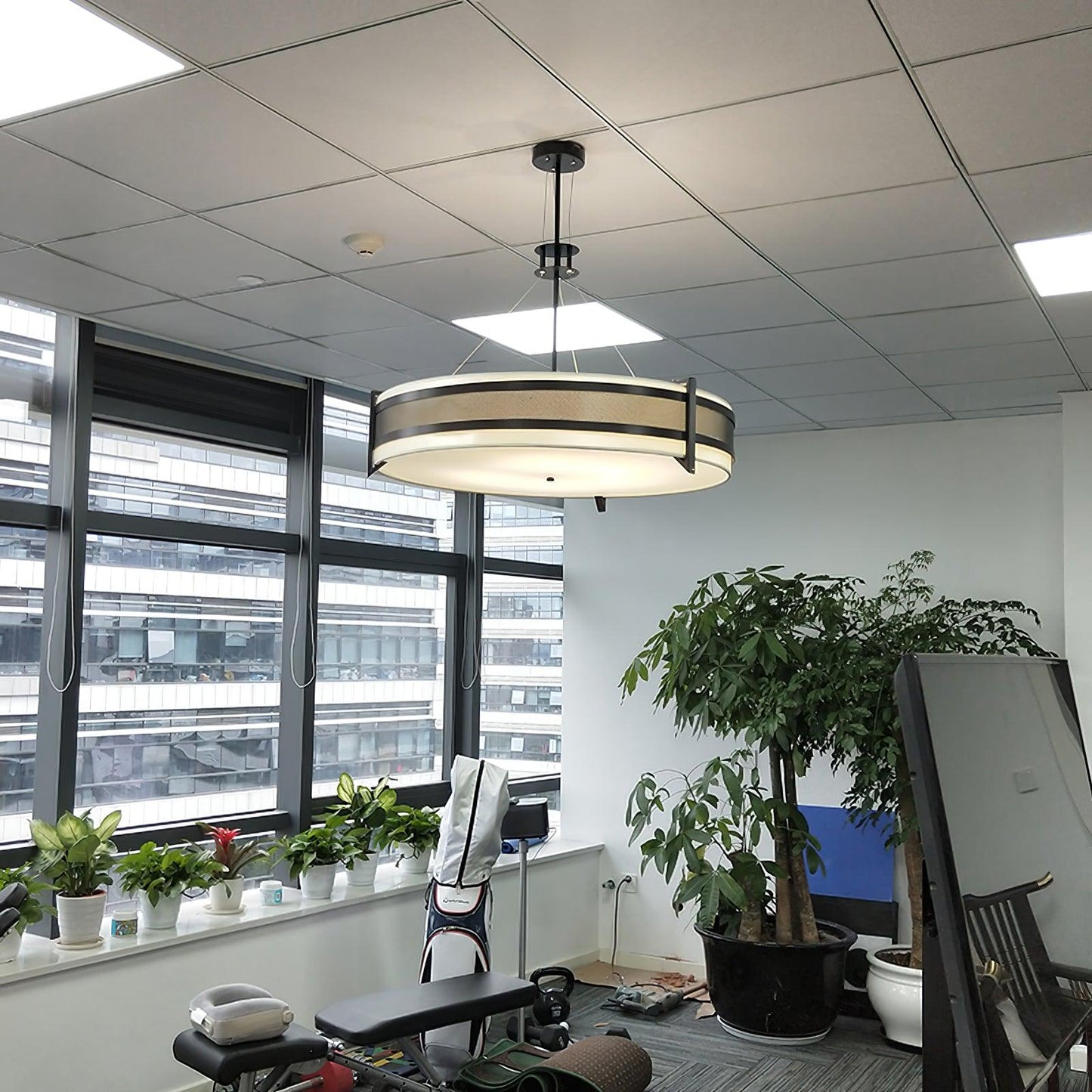 Pedesina 6-Light Chandelier with Adjustable Height & Crystal Accents
