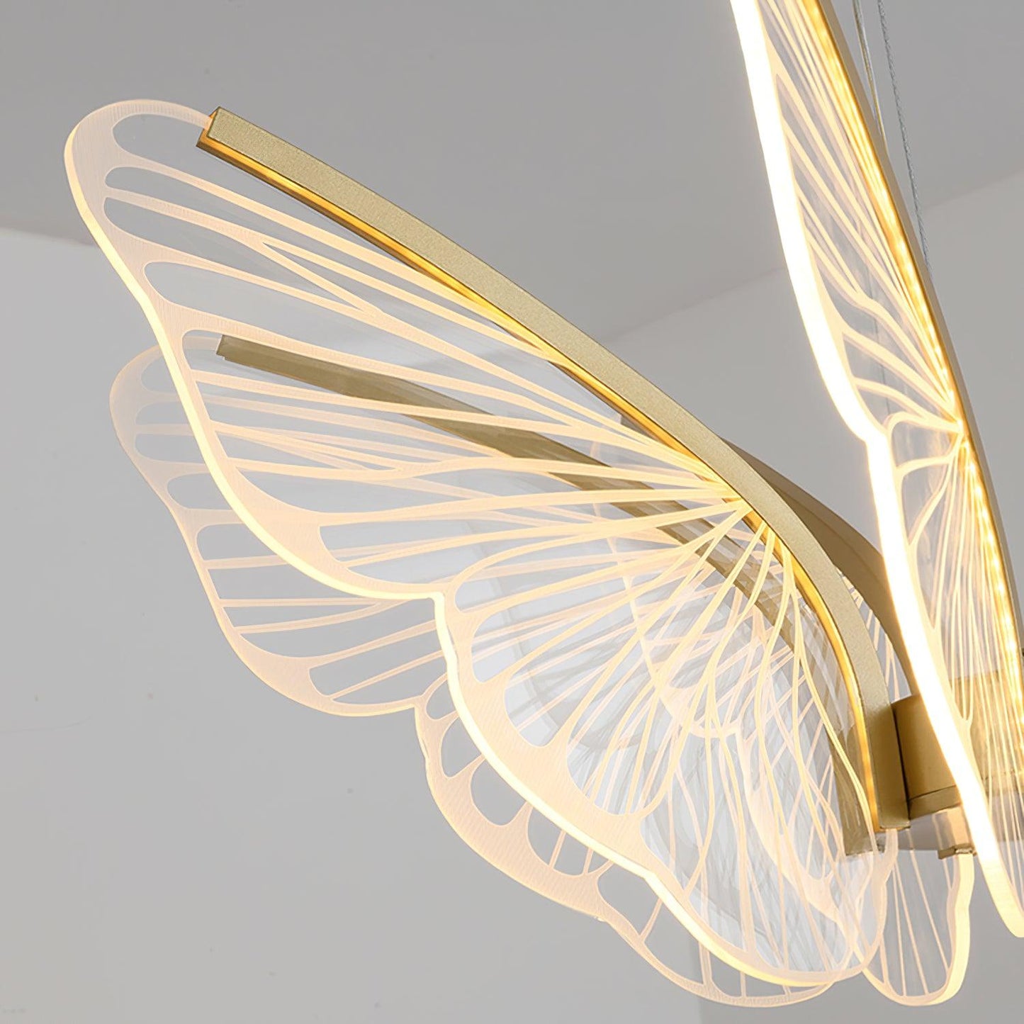 Phalaenopsis Chandelier - Elegant Floral Design with Adjustable Height